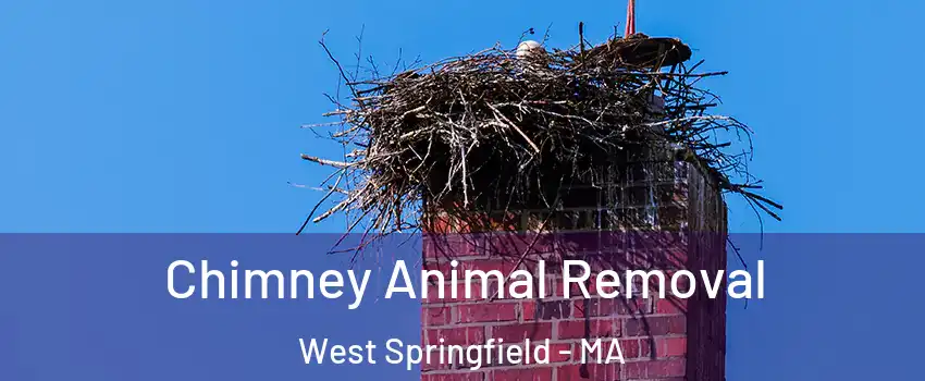Chimney Animal Removal West Springfield - MA