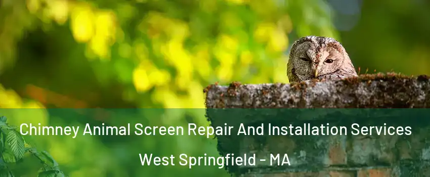 Chimney Animal Screen Repair And Installation Services West Springfield - MA