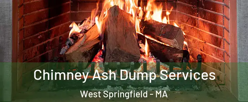  Chimney Ash Dump Services West Springfield - MA