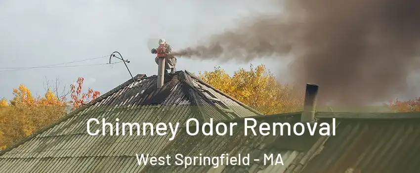  Chimney Odor Removal West Springfield - MA