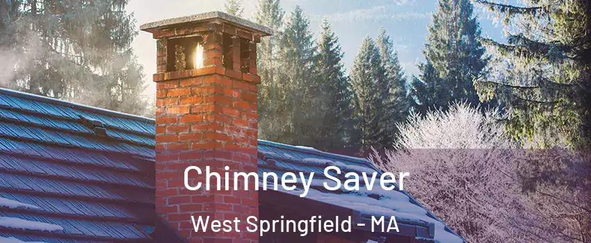  Chimney Saver West Springfield - MA
