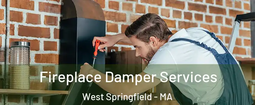  Fireplace Damper Services West Springfield - MA