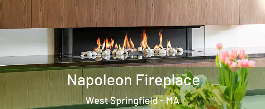  Napoleon Fireplace West Springfield - MA